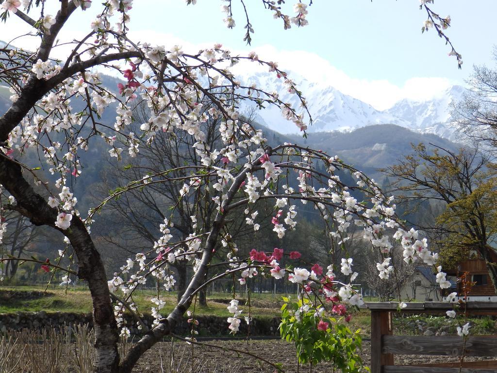 Heidihof Hotel Hakuba Bagian luar foto